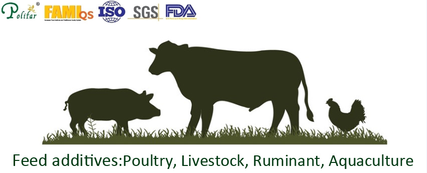 Nhà cung cấp tocopherol acetate