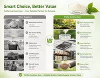 Lợi thế về chi phí và chuỗi cung ứng